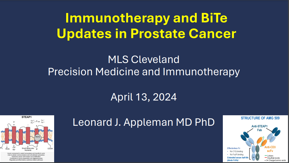 Immunotherapy and BiTe Treatment Updates in Prostate Cancer