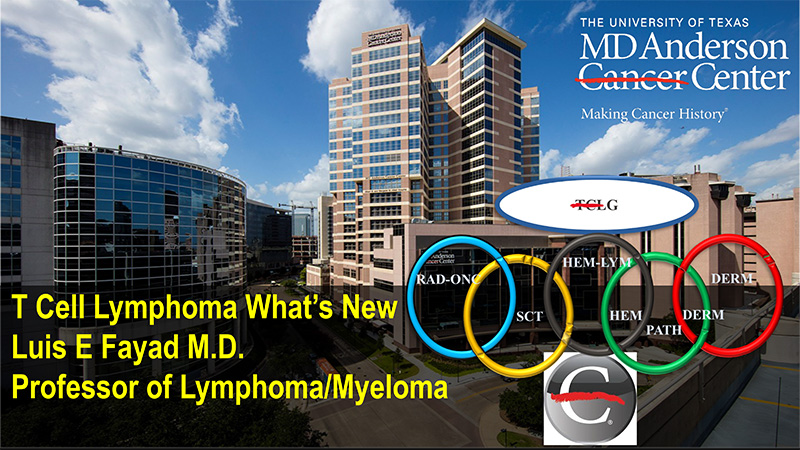 Novel Advances in T-Cell NHL Therapies